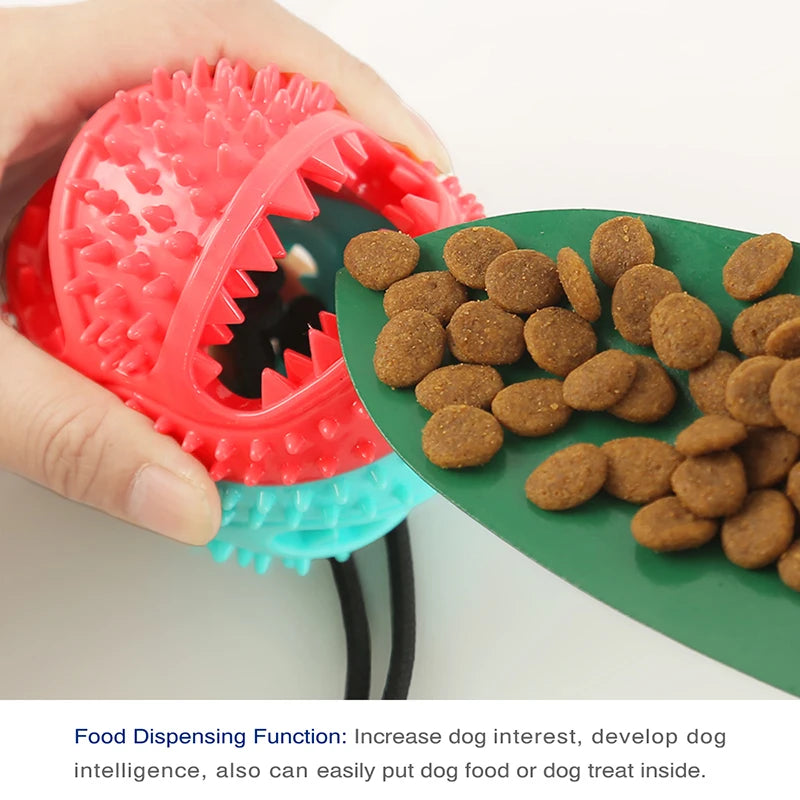 Toothing Clean Pet Supplies