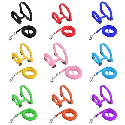 Dog Cat Collar Harness Leash Adjustable Nylon Pet Traction Cat Kitten Halter Collar Puppy Dog Cat Product Small Pet Harness Belt