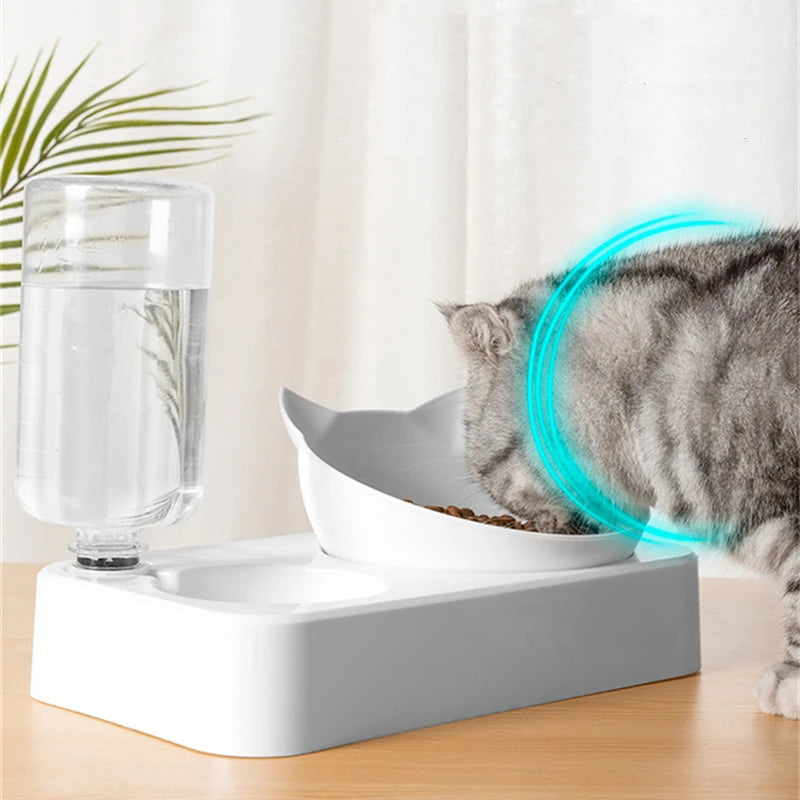 Pet Feeder 2-in-1