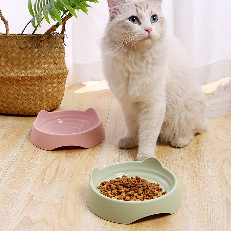 Cat Bowl