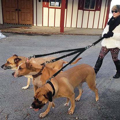 3 Way Pet Dog Lead Leashes