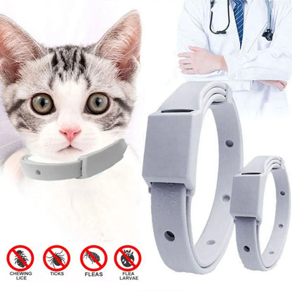 Anti Flea Tick Collar For Cat Dog Antiparasitic 8Month Protection